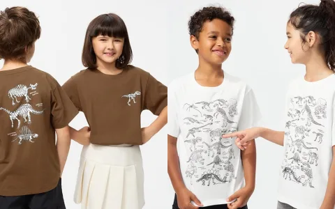 Die Uniqlo-Jason-Polan-T-Shirts sind wahre Meisterwerke