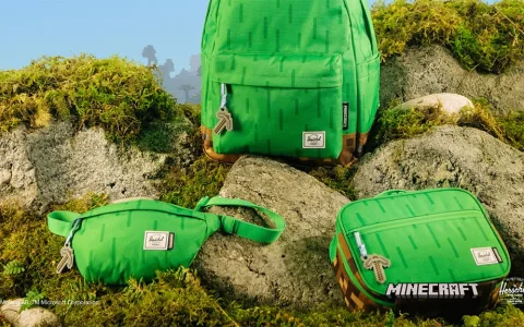 Pimpe deine Gaming-Ausrüstung mit der Minecraft-Schulrucksack-Kollektion von Herschel Supply!