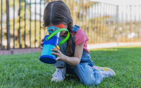 Spielvorstellung: Just Play HOLOBRITE Pixie-Laterne