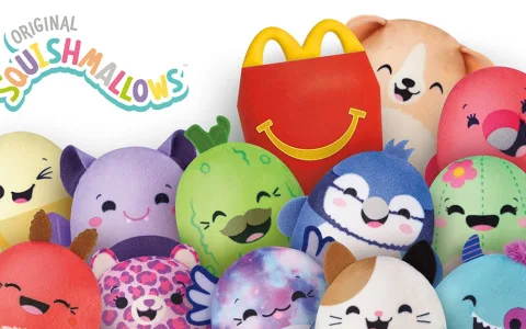 Mache einen Ausflug nach Dinnyeföld mit der neuen Live-Action- und Bildungssendung von CoComelon