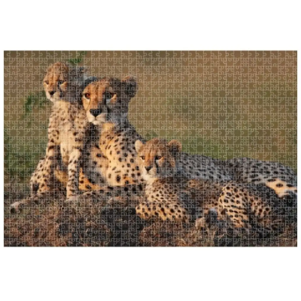 Animal Planet: Gepardenfamilie 1000-teiliges Puzzle Bild 2