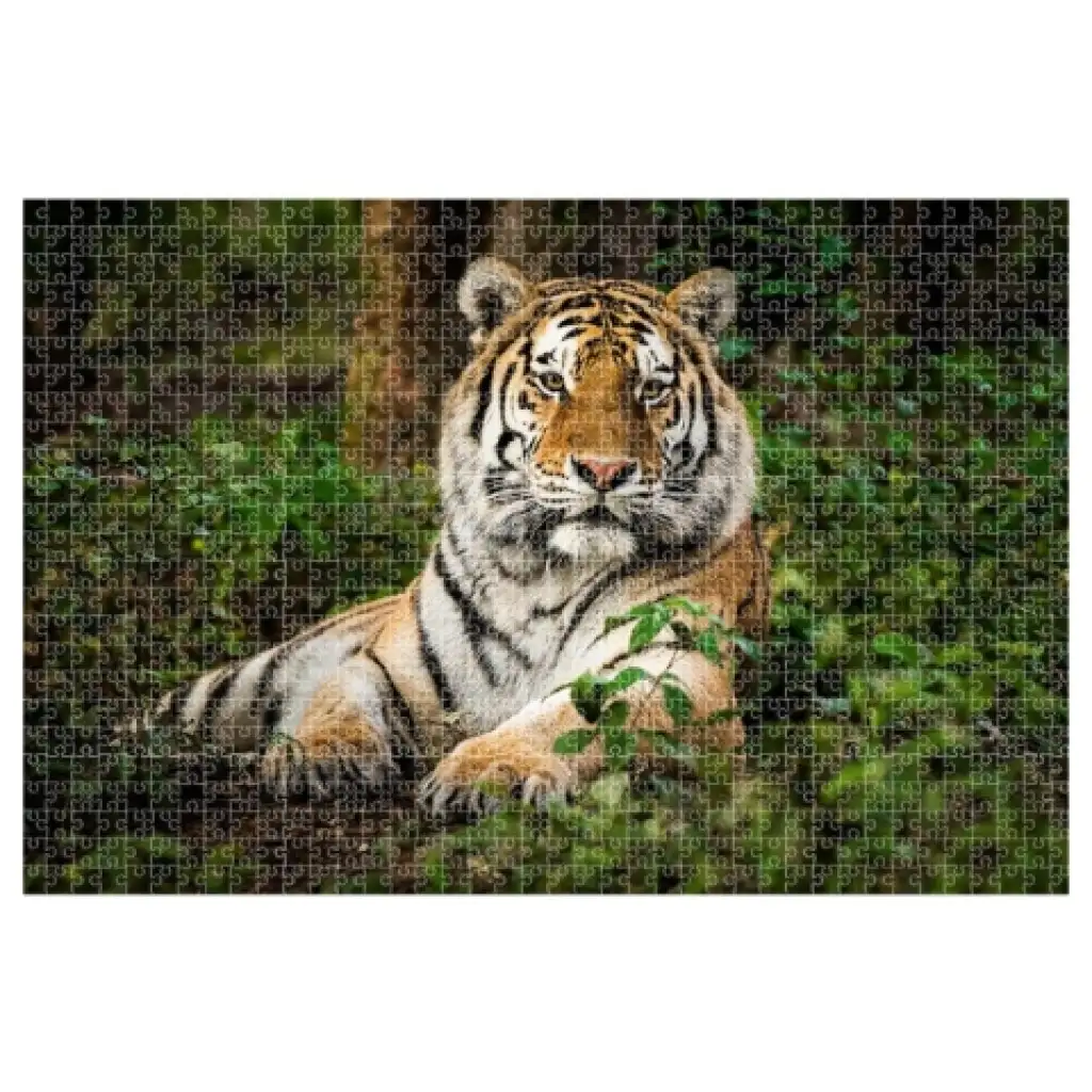 Animal Planet: Tiger 1000-teiliges Puzzle Bild 2