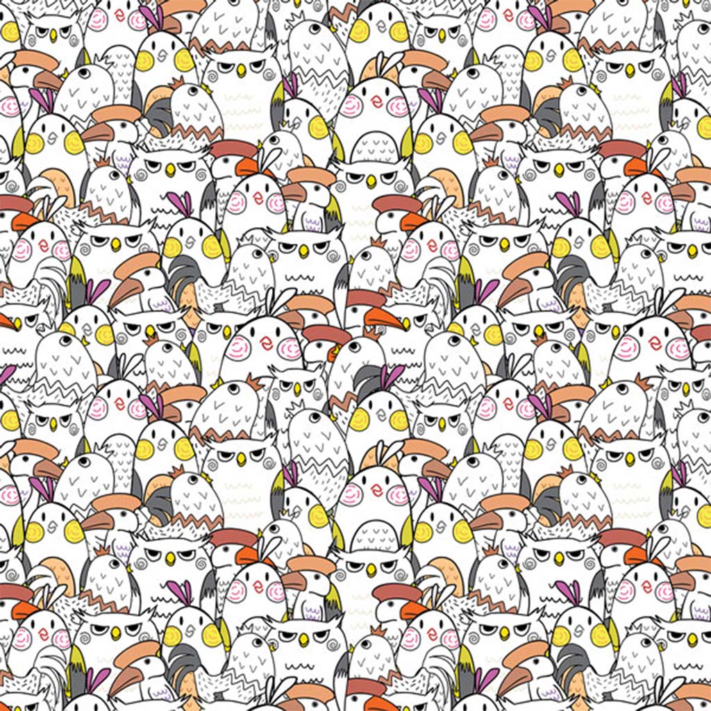 Cardex: Geschenkpapier mit fröhlichen Vogelmotiven, 100x70 cm Bild 1