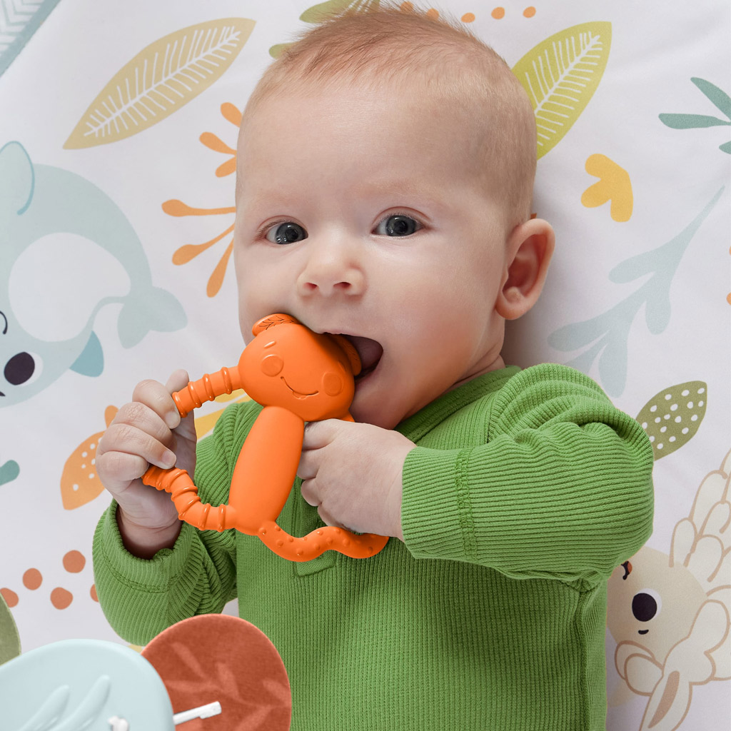 Fisher-Price: Lustige Figuren Käfer Beißring - Mattel Bild 3