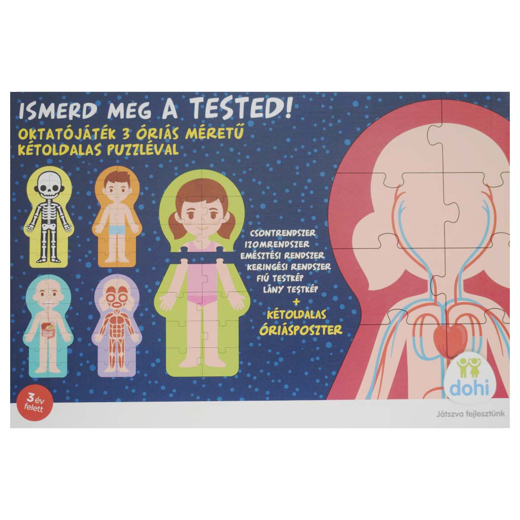 Lerne deinen Körper - D-Toys Bild 1