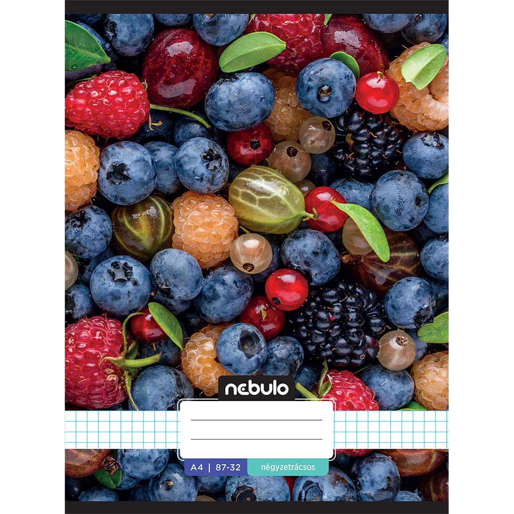 Nebulo: Gesticktes kariertes Obstmuster Heft 87-32 A/4 Bild 1
