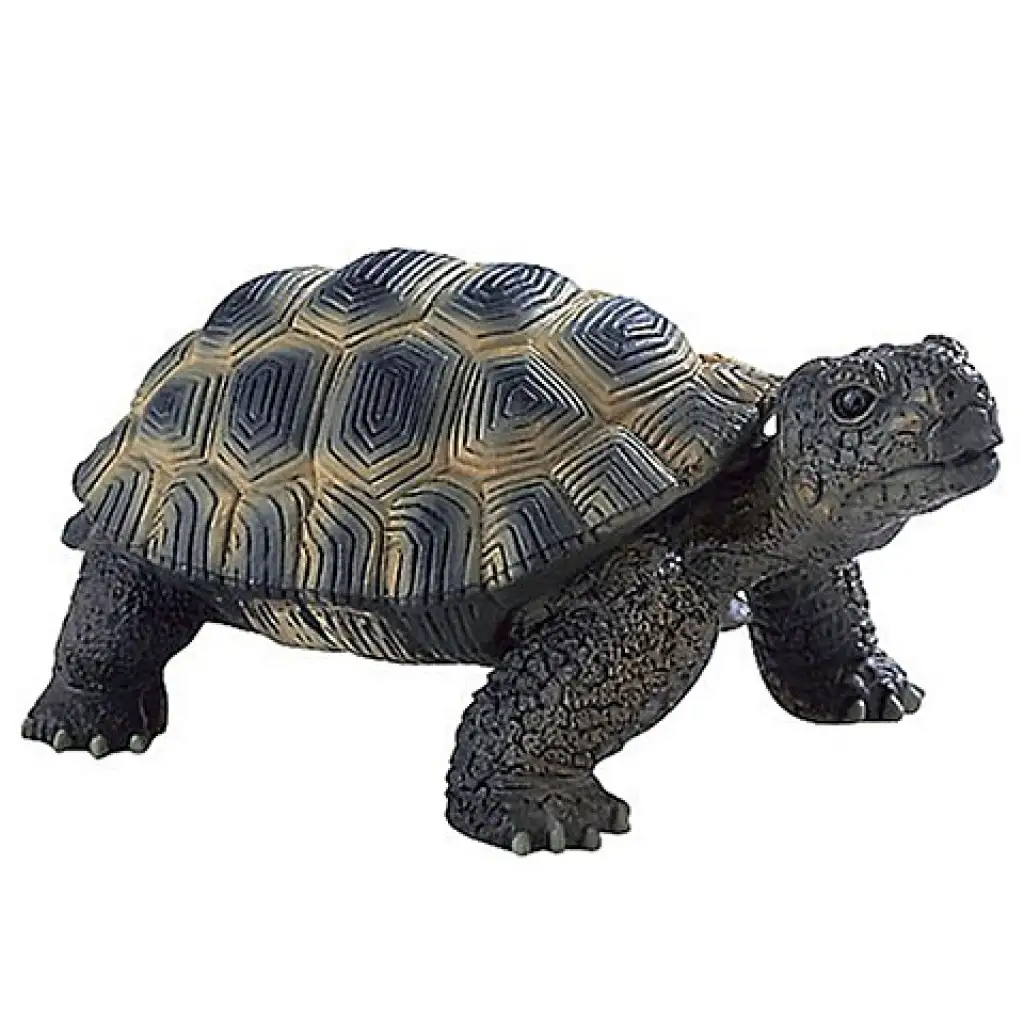 Schildkröten-Spielzeugfigur Bild 1