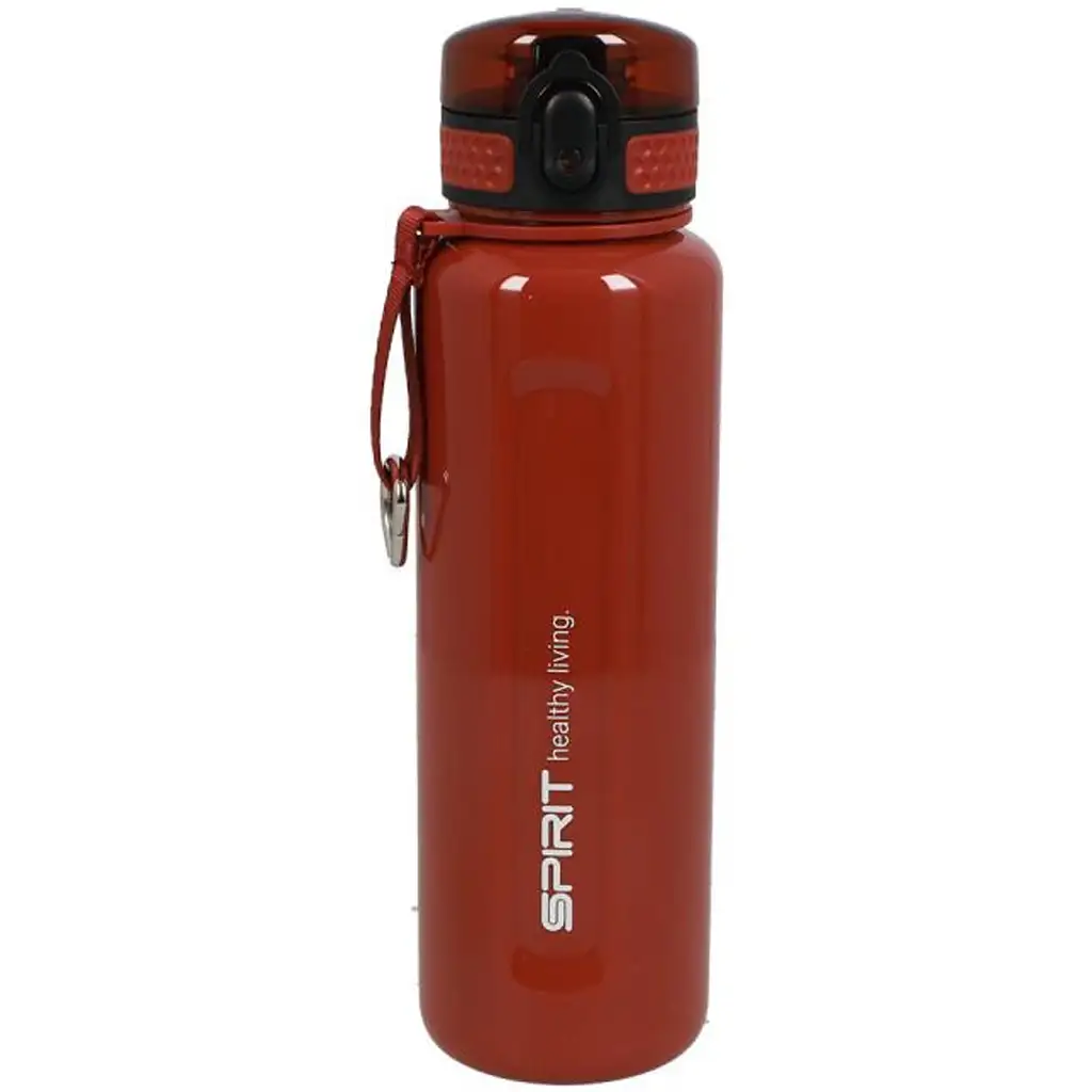 Spirit: Moment roter BPA-freier Trinkflasche 830ml Bild 1
