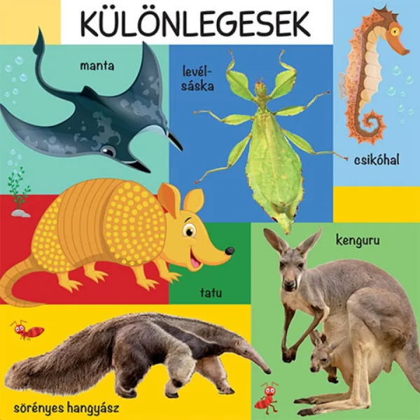 101 bunte Bilder von Wildtieren Bilderbuch Bild 3