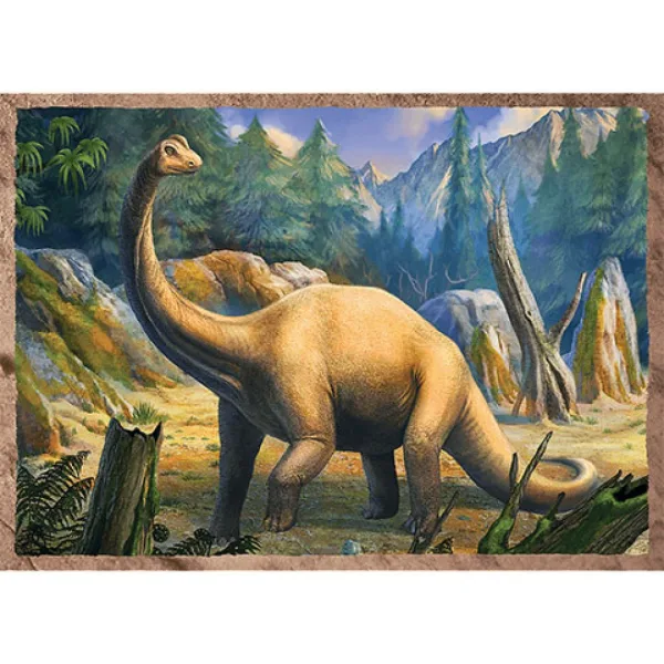 Interessante Dinosaurier 4-in-1 Puzzle - Trefl Bild 4