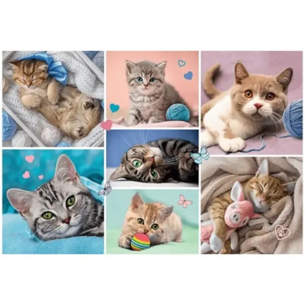Katzen 100-teiliges Puzzle - Trefl Bild 2