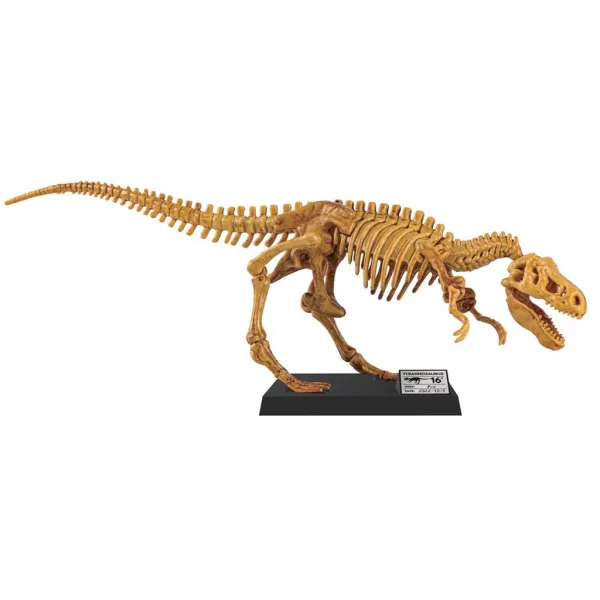 Luna: Riesiges T-Rex-Archäologieset 40 cm Bild 2