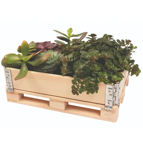 PlayBox: Palettenkiste aus Holz 18x28x8,65cm Bild 2