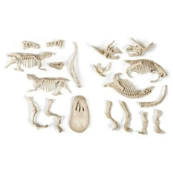 Science&Play: Archeofun Leuchtender T-rex und Triceratops Archäologie-Set - Clementoni Bild 3