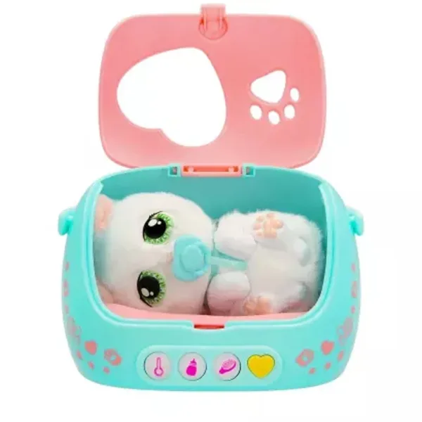 Baby Paw – Babykatze Bild 2