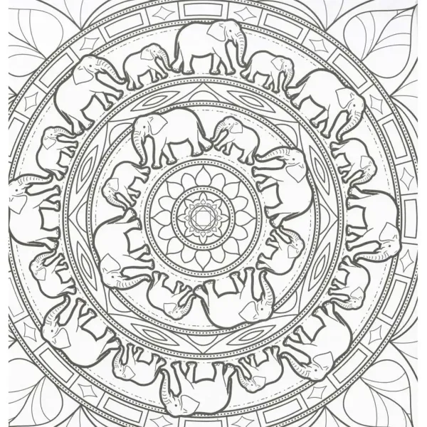 Mandala und Malbücher - Wildtiere Bild 2