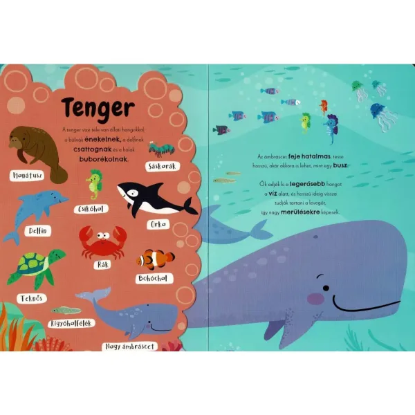 Meine ersten Tiergeräusche - Englisch-Ungarisches Soundmodulbuch Bild 2