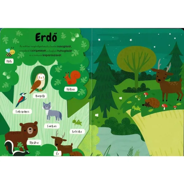 Meine ersten Tiergeräusche - Englisch-Ungarisches Soundmodulbuch Bild 3