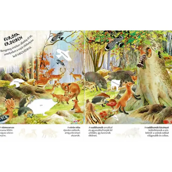 Wie interessant die Welt ist... Tierbabys Stickerheft Bild 2