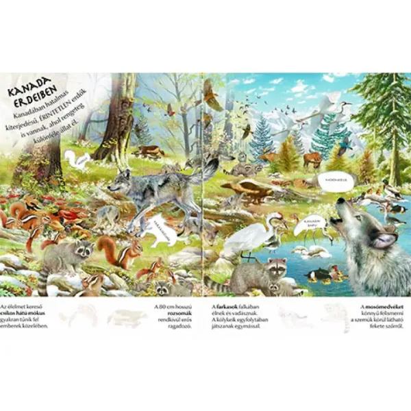 Wie interessant die Welt ist... Tierbabys Stickerheft Bild 3