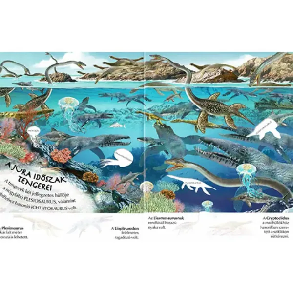 Wie interessant die Welt ist... Dinosaurier Stickerbuch Bild 2