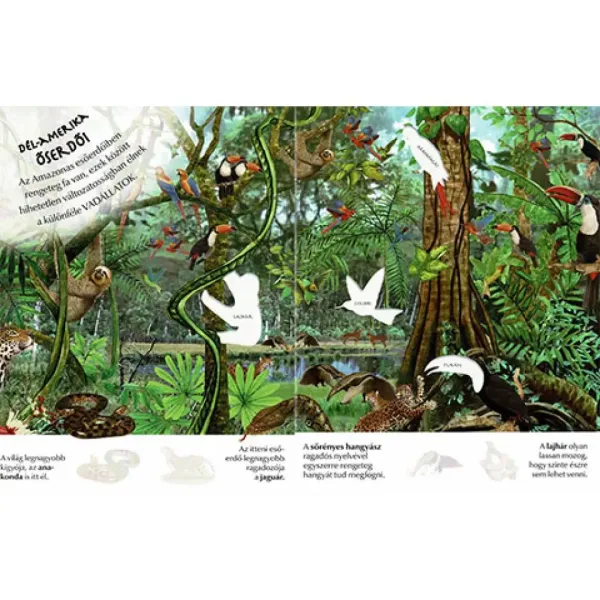 Wie interessant die Welt ist... Wildtiere Stickerheft Bild 2