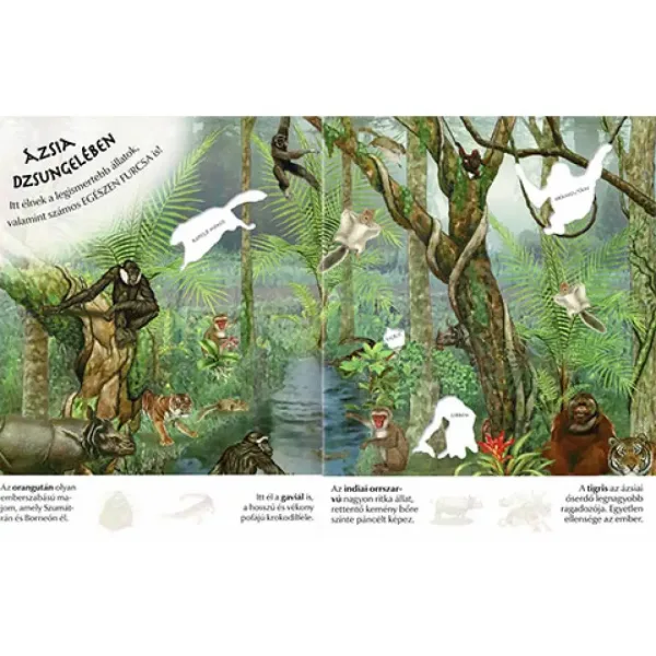 Wie interessant die Welt ist... Wildtiere Stickerheft Bild 3