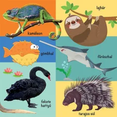 101 bunte Bilder von Wildtieren Bilderbuch Bild 2