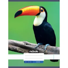 Nebulo: Liniertes Heft mit Tukan-Muster 81-32 A/4