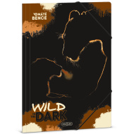 Ars Una: „Wild in the dark“ Löwen-Gummizugmappe, A4-Format