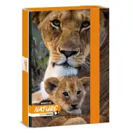 Ars Una: Bence Máté Spirit of Nature – Löwen-Motiv Heftbox A/5