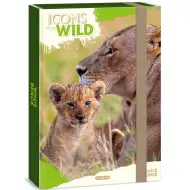 Ars Una: Icons of the Wild Löwen A4 Heftbox