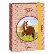 Ars Una: My Sweet Horse Reitpferd A4 Heftbox