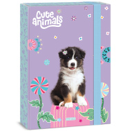 Ars Una: Niedliche Tiere – A4-Heftbox mit Aussie-Hunden