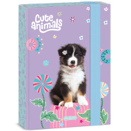 Ars Una: Niedliche Tiere - Aussie Heftbox A5 mit Hunde-Motiv