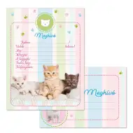 Ars Una: Partyeinladung mit Katzenmotiv und Umschlag, 10 Stück