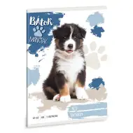 Ars Una: Tapfere Pfoten – Australian Shepherd A/5 liniertes Heft für die 3. Klasse 12-32