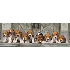 Beagle-Welpen, 1000-teiliges Panorama-Puzzle, 98 x 33 cm – Clementoni Bild 2