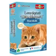 Beeindruckende Natur - Katzenspielkarten