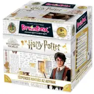 BrainBox - Harry Potter Gesellschaftsspiel