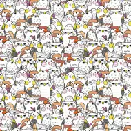 Cardex: Geschenkpapier mit fröhlichen Vogelmotiven 100x70 cm