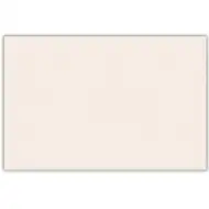Cremefarbene Papier-Tischdecke – 120x180 cm
