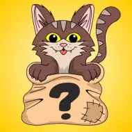 Die Katze im Sack