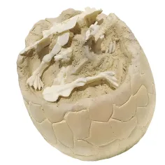 Dino Explorer: Archäologisches Überraschungs-Dinosaurierei in verschiedenen Varianten Bild 2