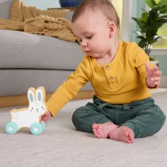 Fisher-Price: Holz-Schiebespiel Hase – Mattel Bild 3