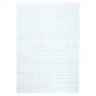 Geraster französisches kariertes Papier A3-Größe 20 Blatt