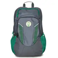 Großer grauer Schulrucksack mit Fradi-Wappen