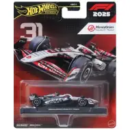 Hot Wheels Premium: MoneyGram Haas Formel 1 Team Nr. 31 Auto 1/64 - Mattel