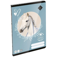 ICO: LizzySuli Wild Beauty Sport Club Blankoheft A5 20-32
