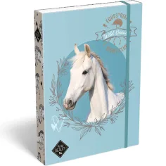ICO: Lizzysuli Wild Beauty Sport Club gemusterte Heftbox A4